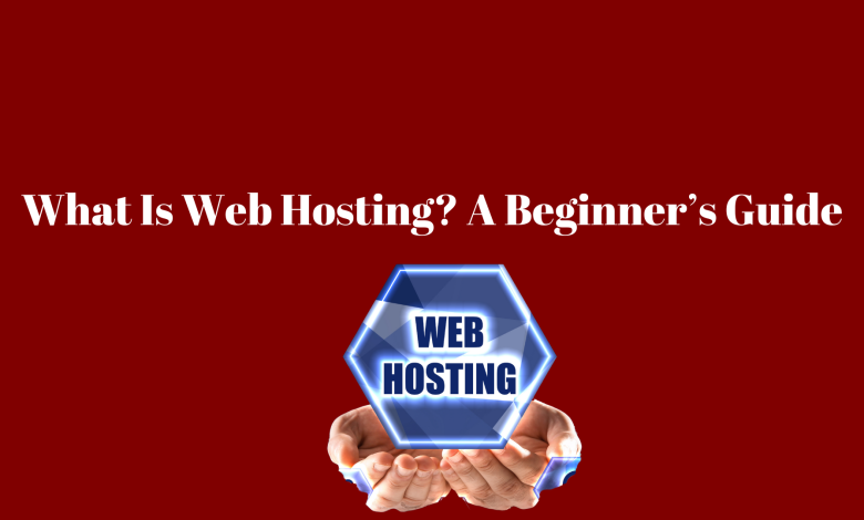 Web Hosting