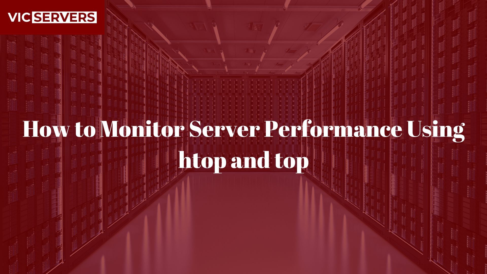 How to Monitor Server Performance Using htop and top