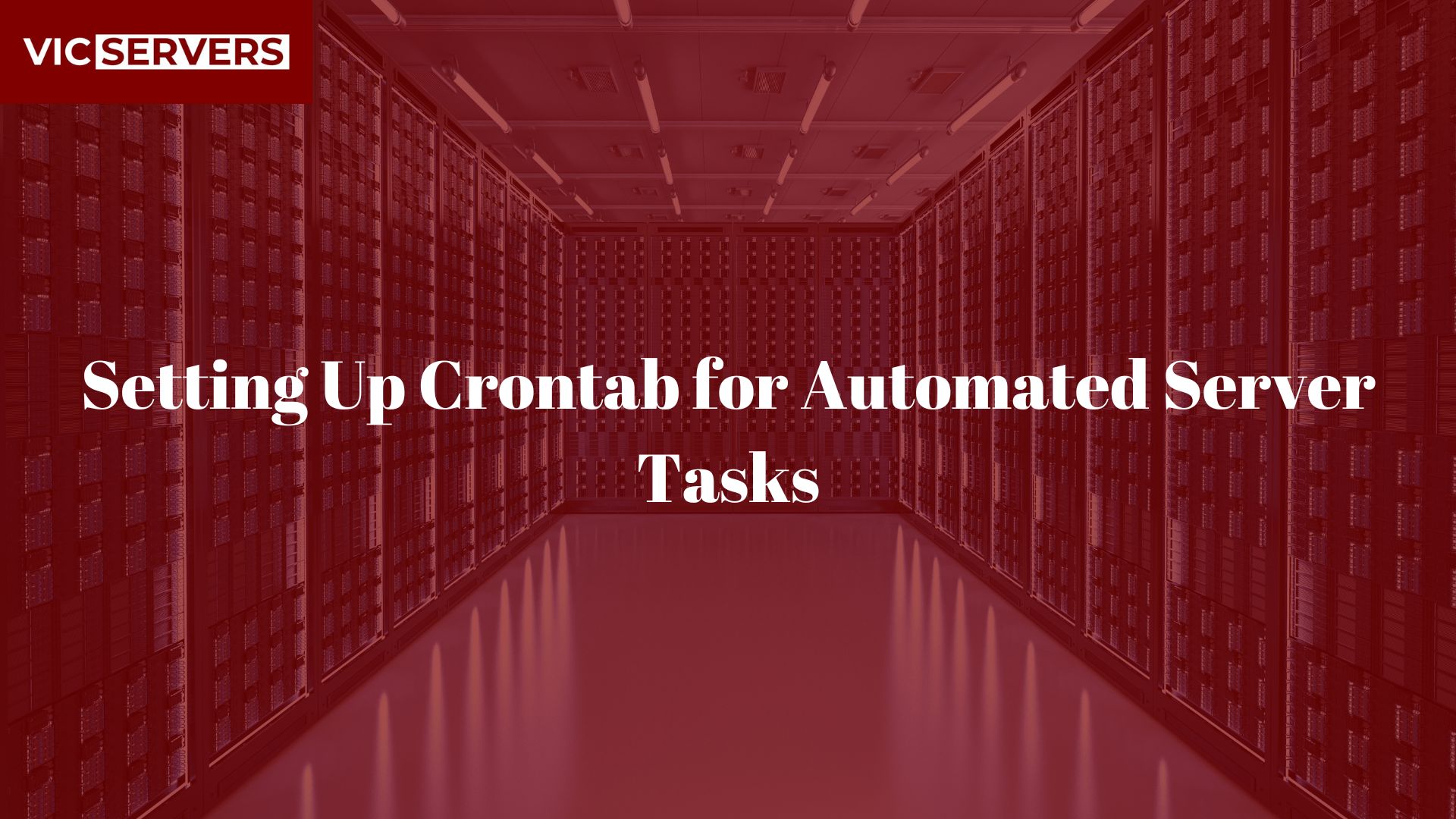 Setting Up Crontab for Automated Server Tasks