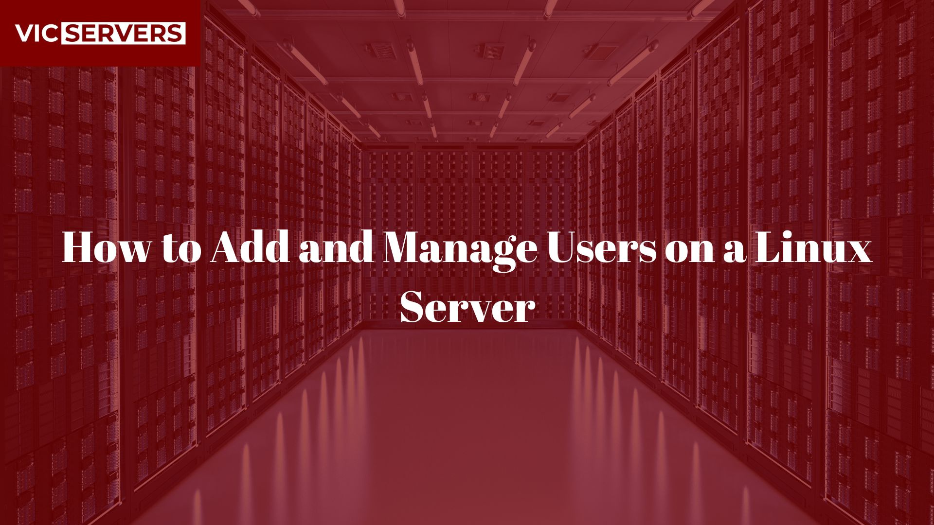 How to Add and Manage Users on a Linux Server