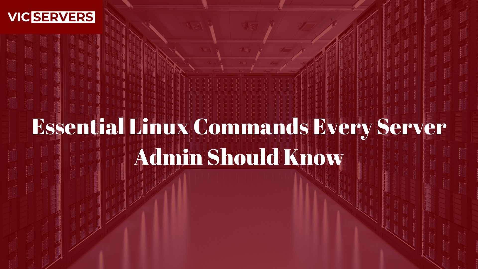 Essential Linux Commands Every Server Admin Should Know