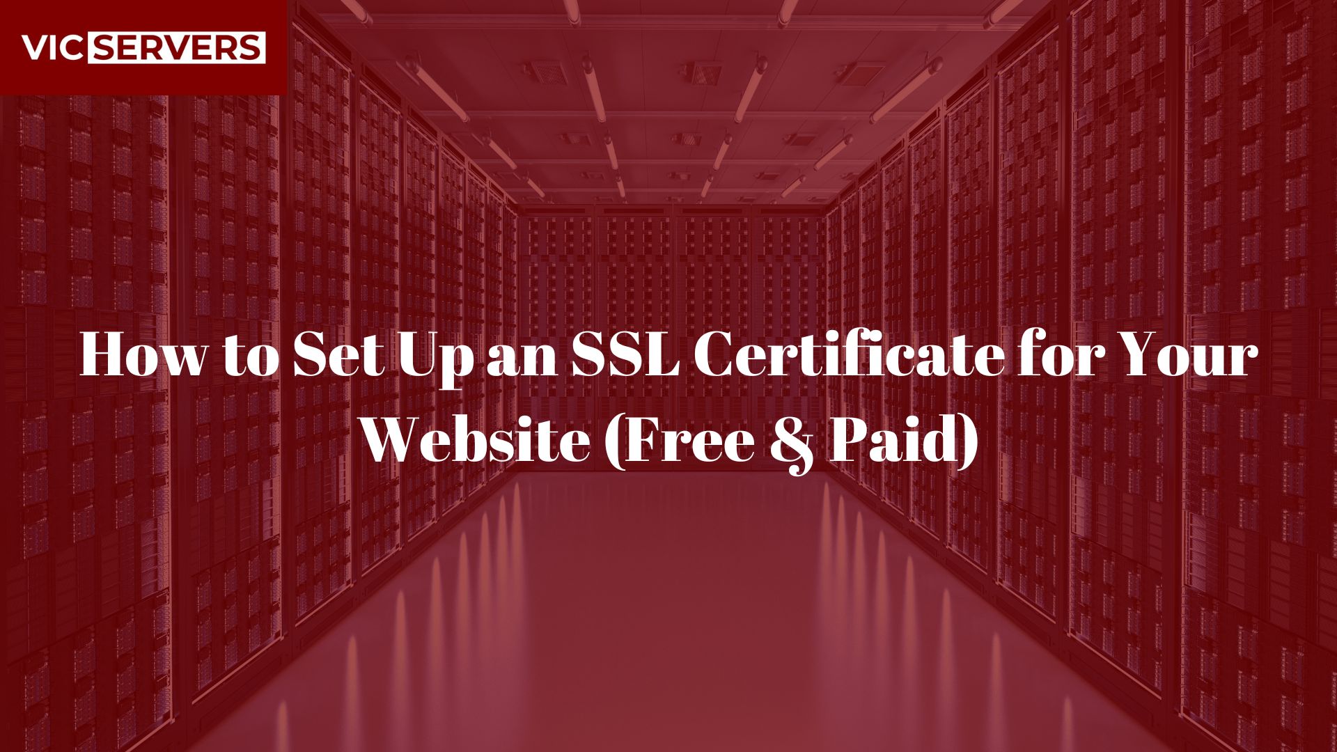 How to Set Up an SSL Certificate for Your Website (Free & Paid)