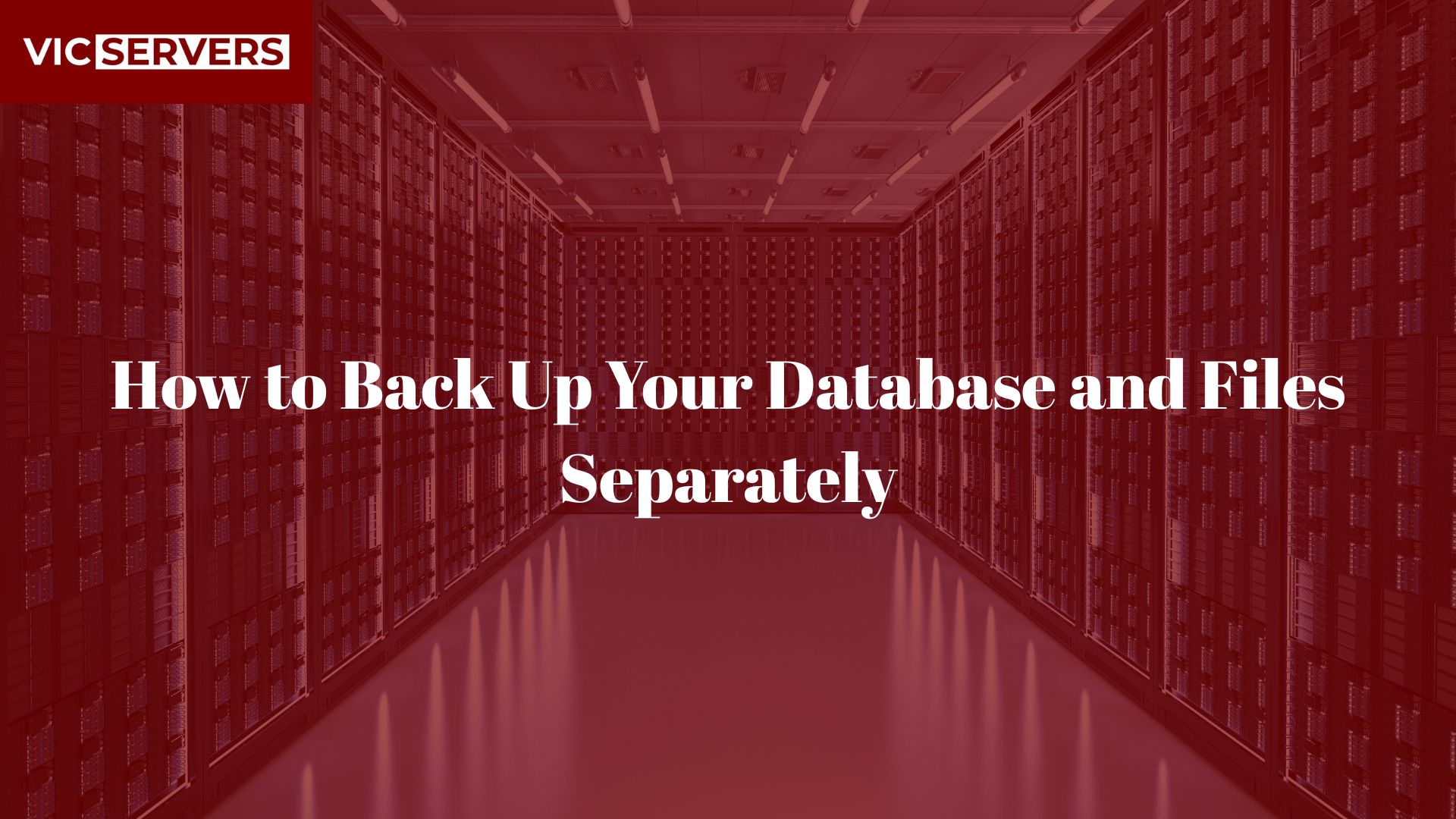 How to Back Up Your Database and Files Separately